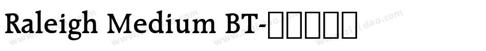 Raleigh Medium BT字体转换